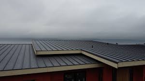 Sheet Metal Roofing in Treasure Lake, PA